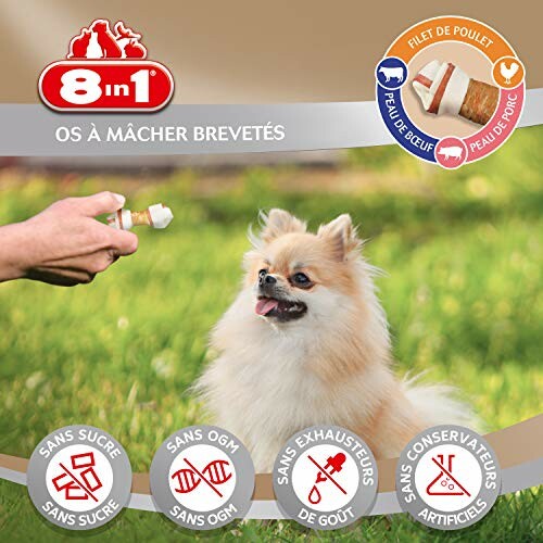 Os à Mâcher 8in1 Triple Flavour