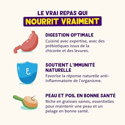 Affiche sur les bienfaits d'un repas nutritif pour la digestion, l'immunité et la santé de la peau et du pelage.