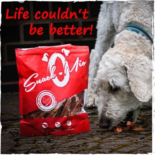 Chien mangeant des friandises Snack Mio sur le sol.