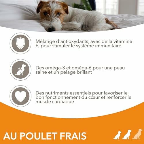 Chien couché sur un lit avec des bienfaits listés pour la nourriture au poulet frais.