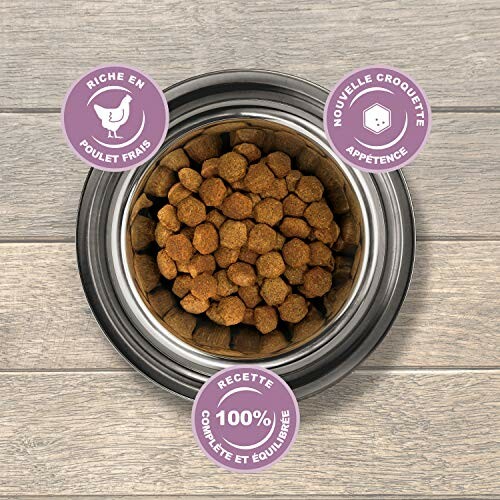 Bol de croquettes pour chien avec étiquettes nutritionnelles