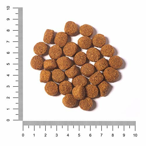Croquettes pour chien avec règle pour l'échelle.