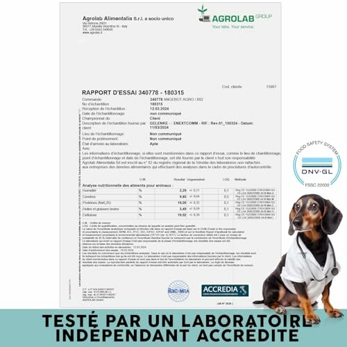 Rapport d'essai de laboratoire avec chien en costume de laboratoire.