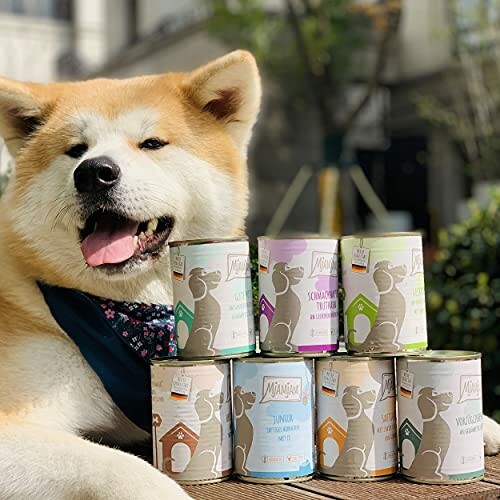 Chien assis à côté de boîtes de conserve empilées