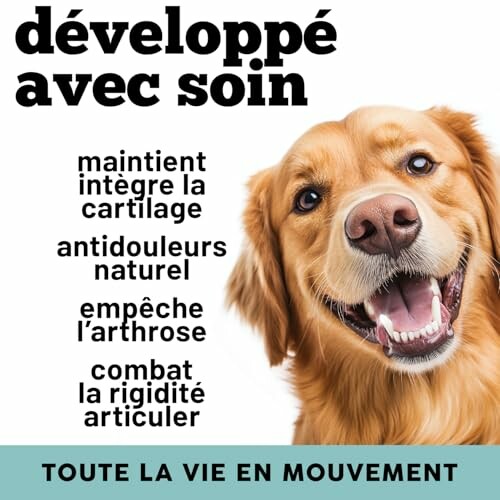 Un chien heureux avec des bénéfices pour la santé articulaire.