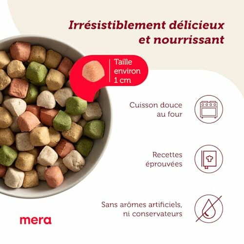 Bol de nourriture multicolore pour animaux avec caractéristiques en français.