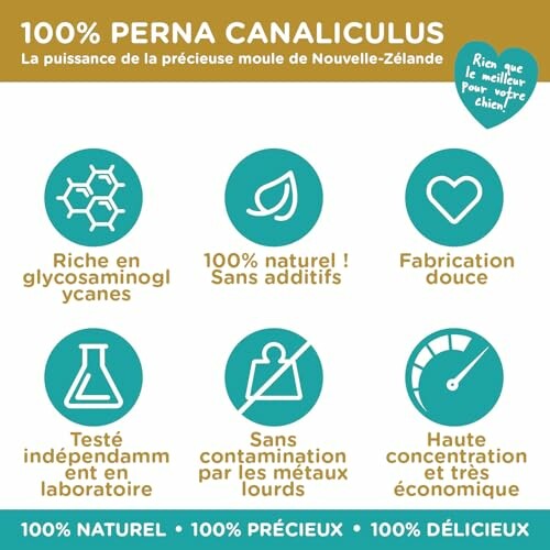 Infographie des avantages du Perna Canaliculus.