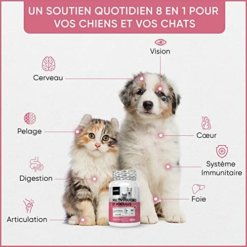 Vitamine Chien & Chat 365 Comprimés